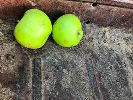 two apples are in the cart. apples are green, shiny, glossy. fruits are harvested for transportation. the cart is old, rusty, brown, dusty and dirty. autumn harvest, forage preparation, vitamin snack photo
