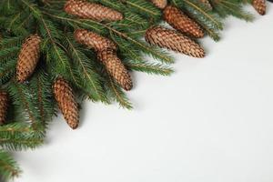 Holidays greeting card or banner composition with pine tree branches. Merry Christmas background and Happy New Year 2023. photo