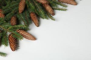 Holidays greeting card or banner composition with pine tree branches. Merry Christmas background and Happy New Year 2023. photo