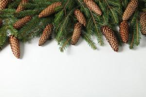 Holidays greeting card or banner composition with pine tree branches. Merry Christmas background and Happy New Year 2023. photo