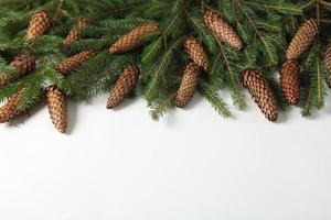 Holidays greeting card or banner composition with pine tree branches. Merry Christmas background and Happy New Year 2023. photo