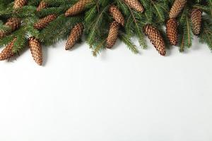 Holidays greeting card or banner composition with pine tree branches. Merry Christmas background and Happy New Year 2023. photo