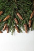 Holidays greeting card or banner composition with pine tree branches. Merry Christmas background and Happy New Year 2023. photo