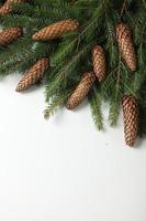 Holidays greeting card or banner composition with pine tree branches. Merry Christmas background and Happy New Year 2023. photo