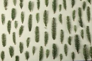 Holidays greeting card or banner composition with pine tree branches. Merry Christmas background and Happy New Year 2023. photo