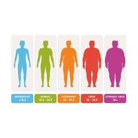 Body mass index vector illustration