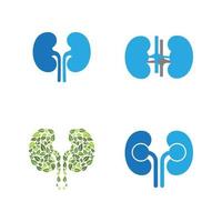 kidney vector illusrtation