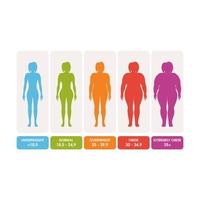 Body mass index vector illustration