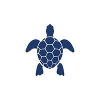 Turtle animal cartoon icon vector