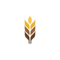 Agriculture wheat vector