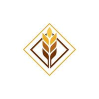 Agriculture wheat vector