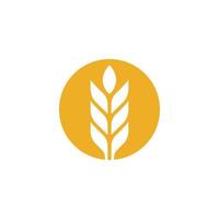 Agriculture wheat vector