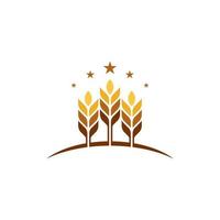 Agriculture wheat vector