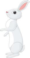 White rabbit cartoon character vector