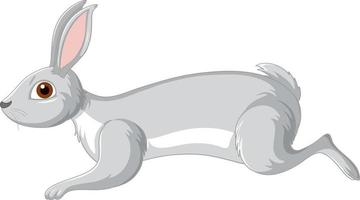 lindo personaje de dibujos animados de conejo gris vector