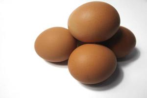 eggs isolated on white background photo