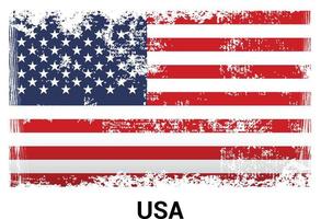 USA flag design vector