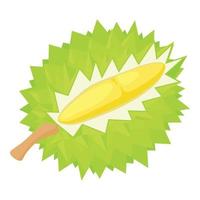 Durian exotic fruit icon, isometric style vector