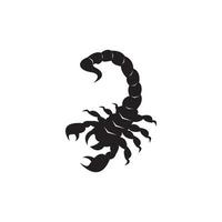 Scorpio Icon and symbol vector template