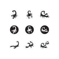 Scorpio Icon and symbol vector template