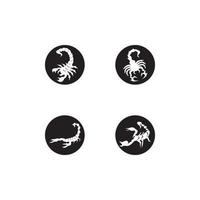 Scorpio Icon and symbol vector template