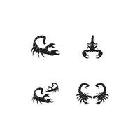 Scorpio Icon and symbol vector template