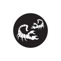 Scorpio Icon and symbol vector template