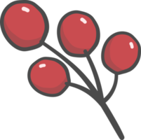 cute doodle christmas mistletoe branch hand drawn png