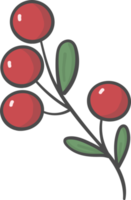 cute doodle christmas mistletoe branch hand drawn png