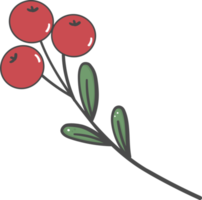 cute doodle christmas mistletoe branch hand drawn png