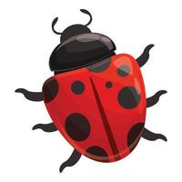 Ladybug insect icon cartoon vector. Flower bug vector