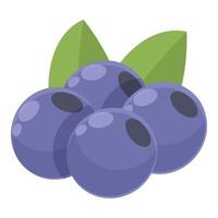 Blueberry lutein icon cartoon vector. Diet vitamin vector