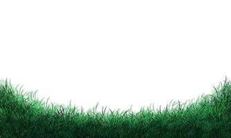 Realistic green grass field curve on white background vector