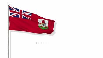 Bermuda Flag Waving in The Wind 3D Rendering, Happy Independence Day, National Day, Chroma key Green Screen, Luma Matte Selection of Flag video