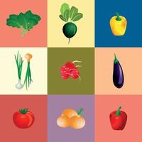 conjunto de ilustración de vector de frutas y verduras