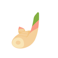 Galangal. Herbs to nourish the body for cooking. png