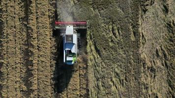 Aerial drone view of harvesting of the rice by machine on a vast field. Industrial agriculture. Tagus Estuary Natural Reserve in Lisbon, Portugal. Native Rice of Portugal. video