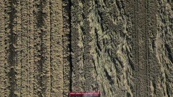 aereo fuco Visualizza di raccolta di il riso di macchina su un' vasto campo. industriale agricoltura. tagus estuario naturale Riserva nel Lisbona, Portogallo. nativo riso di Portogallo. video