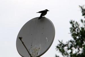 Antena alta para emitir y recibir ondas de radio. foto