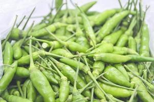 Close-up of Thai hot peppers, green chilies photo