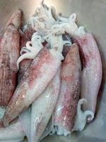 Fresh squid prepared for cooking photo
