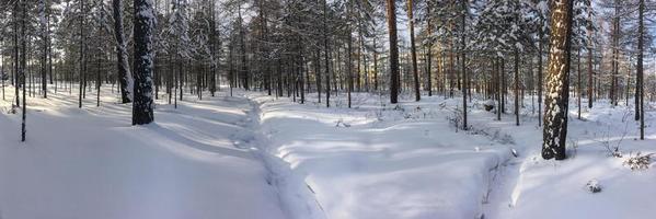 Winter cityscape. Horizontal panorama. Russia, city of Neryungri photo