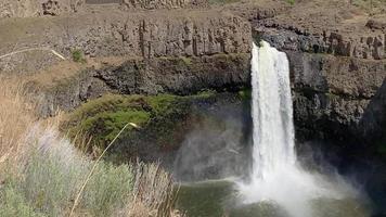 zomer Bij palouse valt video