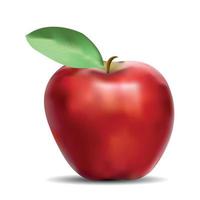 vector realista de fruta de manzana roja. Fondo blanco