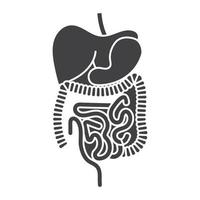 Human digestive system organs flat vector icon for apps and websites