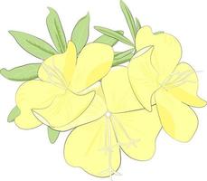 flores amarillas aisladas sobre fondo blanco vector