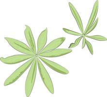 green leaves isolated on white vector