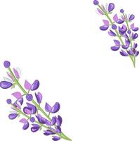 frame with violet flowers and leaves vector