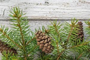 Christmas wooden background with fir tree. Top view copy space photo
