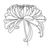 Adobe Illustrator Artwork. Flower One Line Drawing. Continuous Line of Simple Flower Illustration. Abstract contemporary Botanical Design Template for Minimalist Covers, t-Shirt Print. vector